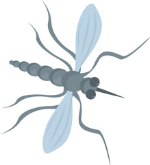 Big grey mosquito spreading malaria flying insect with wings and long legs