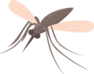 Mosquito spreading malaria zika dengue disease flying insect