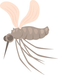 Mosquito is flying, spreading potentially deadly diseases like malaria, zika virus and dengue fever