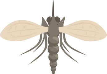 Mosquito spreading malaria disease showing wings and proboscis