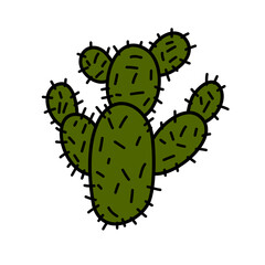  Vector Green Cactus plant illustration