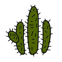  Vector Green Cactus plant illustration