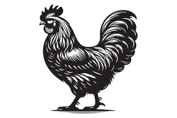 Hen silhouette vector isolated on a white background