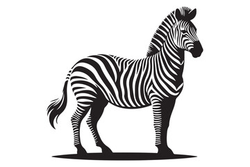  zebra silhouette vector isolated on a white background 