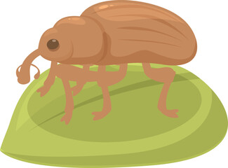 Brown beetle standing on a green leaf illustration