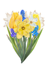 Watercolor painting of spring flowers with daffodils and tulips in vibrant colors