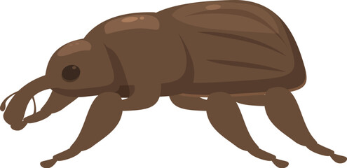 Brown beetle insect is crawling with its six legs