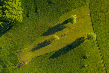 Widok z drona cienie drzew