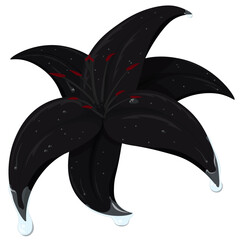 Black lily with dew drops on petals artistic illustration
