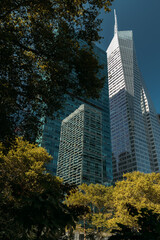 Skyscrapers in New York with trees in the foreground under a clear blue sky