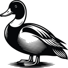 Duck goose silhouette vector png. Vector illustration duck png. transparent background