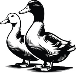 Duck goose silhouette vector png. Vector illustration duck png. transparent background