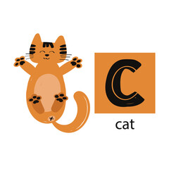Fototapeta premium Animal alphabet letters. Cute baby animal letter C with cat. English alphabet for kids. animal cartoon character. Educational flat vector illustration.