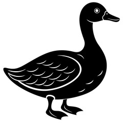 Beautiful duck silhouette vector illustration.