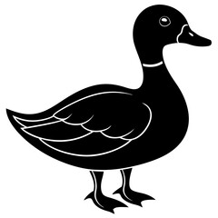Beautiful duck silhouette vector illustration.