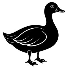 Beautiful duck silhouette vector illustration.
