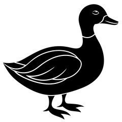 Beautiful duck silhouette vector illustration.
