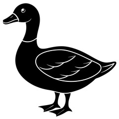 Beautiful duck silhouette vector illustration.