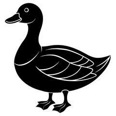 Beautiful duck silhouette vector illustration.