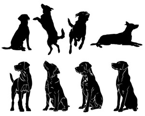 Silhouettes of dogs in various poses on a transparent background