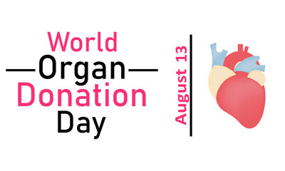World Organ Donor Day. Vector graphics on a white background. A heart on a white background, August 13