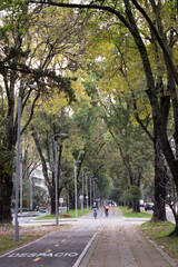 Peaceful, Shady Pedestrian and Bicycle Path with Street Lamps and Tree Canopy Overhead