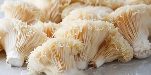 Lions Mane Mushrooms