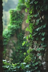Obraz premium Ancient ruins partially covered with ivy, with a softly blurred background of a green landscape