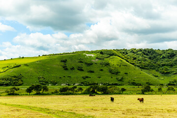 Kurzer Zwischenstop am landschaftlichen Highlight White Horse im Nationlapark bei Litlington -...