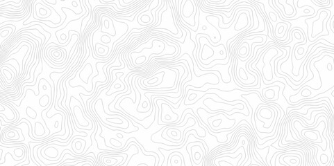 Contour abstract map relief land outline. Topographic map patterns White wave paper curved reliefs abstract background. Background of the topography map. Abstract pattern with lines. 