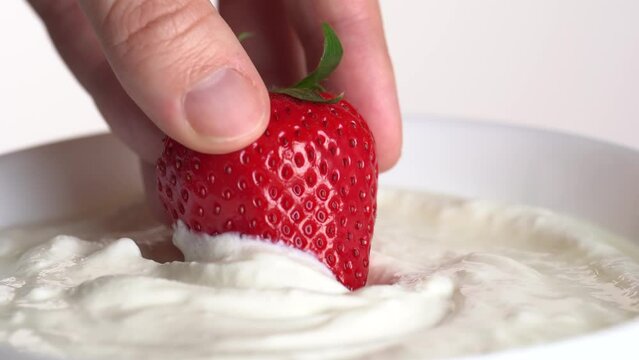 A hand immerses a ripe strawberry in white cream. Summer eating. Dipping fresh strawberries in Greek yogurt, macro.