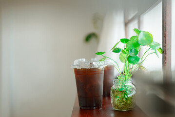 Iced coffee in plastic cups next to a green potted plant on a wooden shelf by the window.