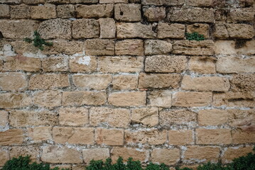 Old Stone Wall Texture Beige Color Detailed View