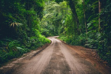 Obraz premium The Jungle. Green Tropical Foliage and Trees Along a Rural Road in a Forest Landscape