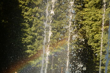 Rainbow rays in the jets of a fountain against a background of greenery