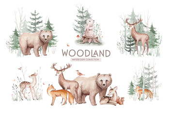 Cute baby fox, deer animal nursery rabbit and bear isolated illustration for children. Watercolor boho forest drawing, , hedgehog image Perfect for nursery posters