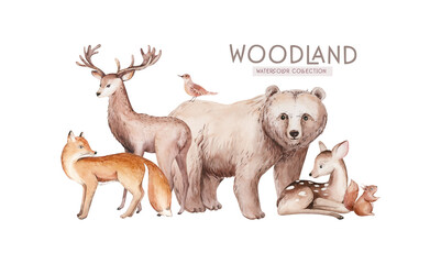 Cute baby fox, deer animal nursery rabbit and bear isolated illustration for children. Watercolor boho forest drawing, , hedgehog image Perfect for nursery posters