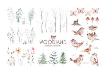 Scandinavian Watercolor natural set of green trees, birch and pine, mountain ash, forest. Winter vintage collection isolated on white background. Woodland design elements