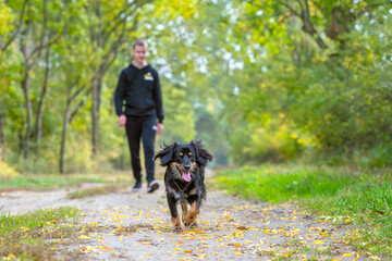 Spacer z psem po leśnej drodze  drodze  