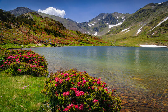 Carlit Lakes, Les Bouillouses, in summer. In the background, the Carlit summit (Pyrenees Orientales, France)