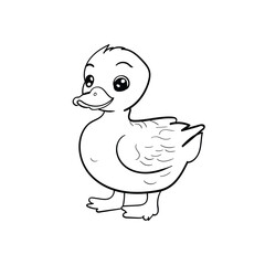 hand drawn duck illustration for kids coloring page