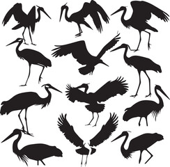 illustration of a stork Silhouette Vector 