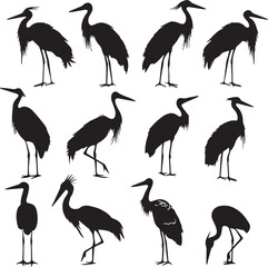 illustration of a stork Silhouette Vector 