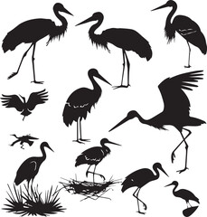 illustration of a stork Silhouette Vector 