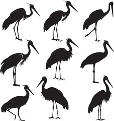 illustration of a stork Silhouette Vector 
