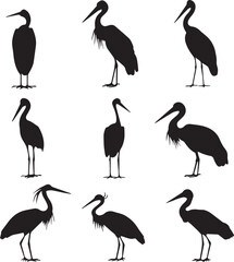 illustration of a stork Silhouette Vector 