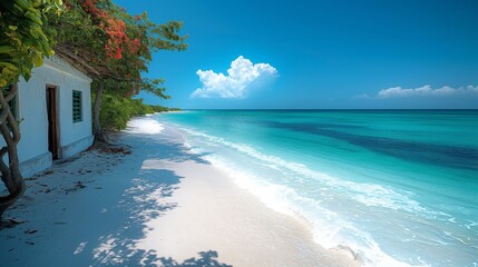 Serene Coastal Paradise: Diani Beach Kenya's Breathtaking Beauty