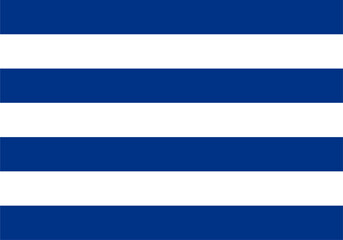 Flag of Cerro Largo Department, Uruguay. Accurate proportions and official colors.