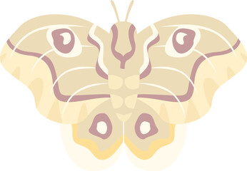 Giant silk moth illustration featuring pastel colors on a white background