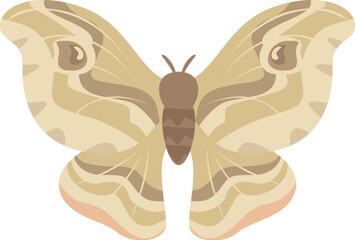 Minimalist illustration of a beige moth spreading its wings